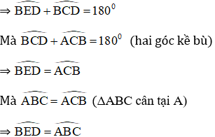 Giải bài 15 trang 135 SGK Toán 9 Tập 2 | Giải toán lớp 9