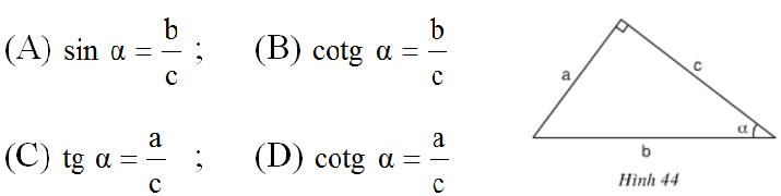 Để học tốt Toán 9 | Giải bài tập Toán 9