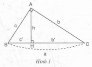 Video Giải bài tập Toán lớp 9 hay, chi tiết