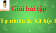 Giải bài tập Tự nhiên và Xã hội lớp 1 hay nhất