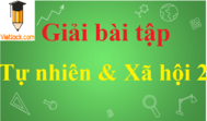 Giải bài tập Tự nhiên và Xã hội lớp 2 hay, chi tiết