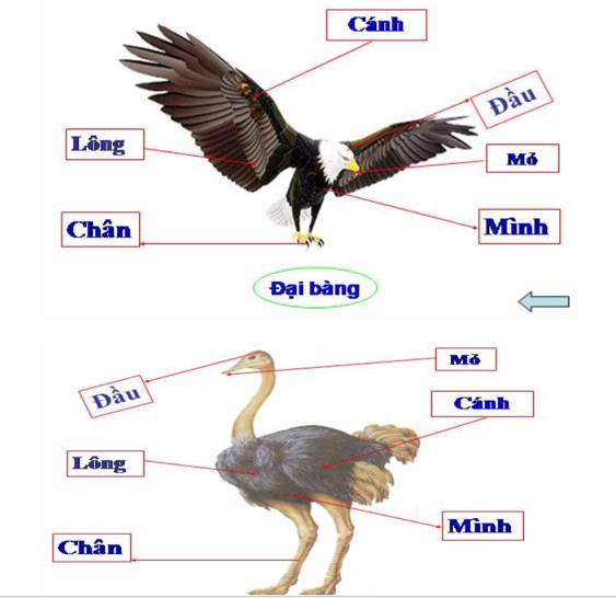 Giải bài tập Tự nhiên và Xã hội 3 | Giải Tự nhiên và Xã hội 3