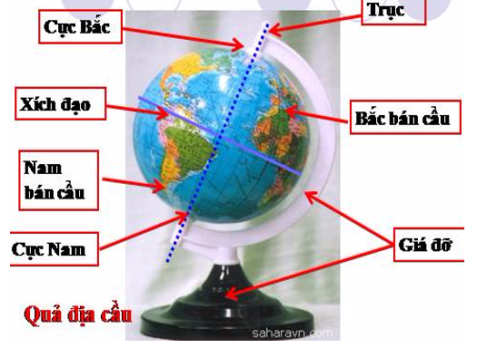 Giải bài tập Tự nhiên và Xã hội 3 | Giải Tự nhiên và Xã hội 3