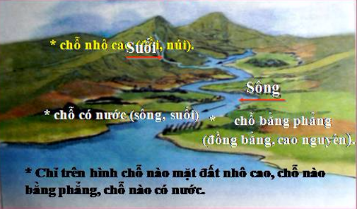 Giải bài tập Tự nhiên và Xã hội 3 | Giải Tự nhiên và Xã hội 3