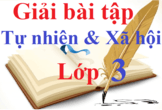 Tự nhiên và Xã hội lớp 3 | Giải Tự nhiên Xã hội lớp 3