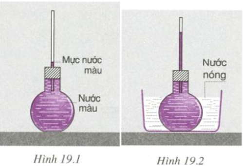 Giải bài C1 trang 60 SGK Vật Lí 6 | Để học tốt Vật Lí 6