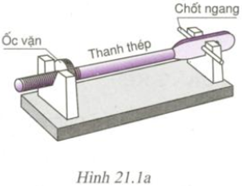 Giải bài C1 trang 65 SGK Vật Lí 6 | Video Giải bài tập Vật Lí 6