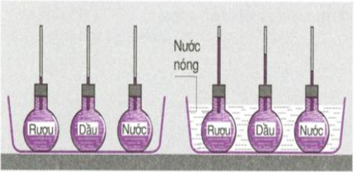 Giải bài C3 trang 60 SGK Vật Lí 6 | Để học tốt Vật Lí 6