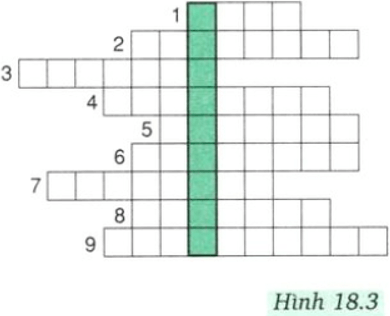 Giải bài tập Vật Lí 8 | Giải Lý lớp 8