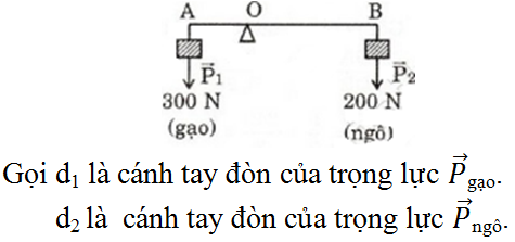 Giải bài tập Vật Lý 10 | Để học tốt Vật Lý 10