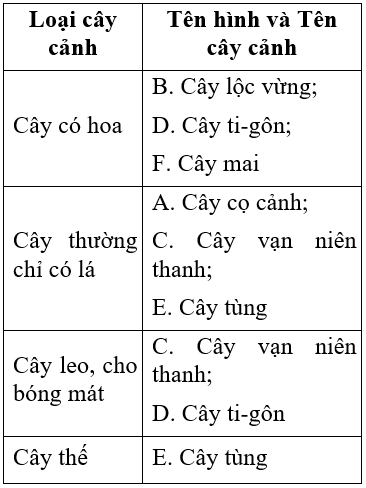 Công nghệ 6 Bài 2: Trang trí nhà ở bằng hoa và cây cảnh | Hay nhất Giải bài tập Công nghệ 6 VNEN