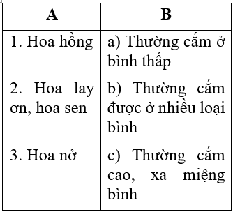 Công nghệ 6 Bài 3: Cắm hoa trang trí | Hay nhất Giải bài tập Công nghệ 6 VNEN