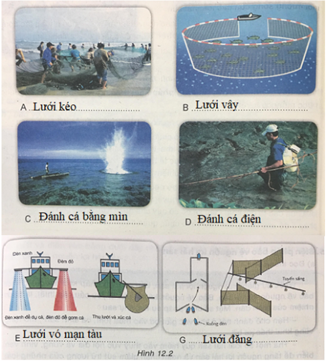 Công nghệ 7 VNEN Bài 12: Khai thác và bảo vệ nguồn lợi hải sản | Hay nhất Giải bài tập Công nghệ 7 VNEN