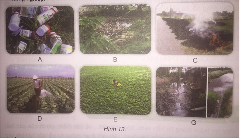 Công nghệ 7 VNEN Bài 13: Bảo vệ môi trường và an toàn trong nông nghiệp | Hay nhất Giải bài tập Công nghệ 7 VNEN