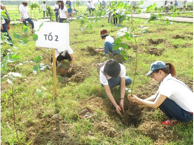 Công nghệ 7 VNEN Bài 7: Trồng và chăm sóc rừng | Hay nhất Giải bài tập Công nghệ 7 VNEN