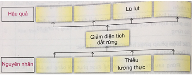 Công nghệ 7 VNEN Bài 8: Bảo vệ và khai thác rừng | Hay nhất Giải bài tập Công nghệ 7 VNEN