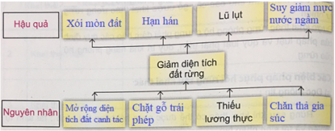 Công nghệ 7 VNEN Bài 8: Bảo vệ và khai thác rừng | Hay nhất Giải bài tập Công nghệ 7 VNEN