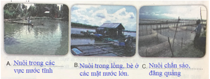 Công nghệ 7 VNEN Bài 9: Giới thiệu chung về ngư nghiệp | Hay nhất Giải bài tập Công nghệ 7 VNEN