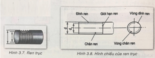 Công nghệ 8 VNEN Bài 3: Hình chiếu và hình cắt | Hay nhất Giải bài tập Công nghệ 8 VNEN