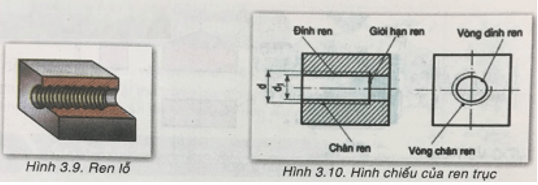 Công nghệ 8 VNEN Bài 3: Hình chiếu và hình cắt | Hay nhất Giải bài tập Công nghệ 8 VNEN