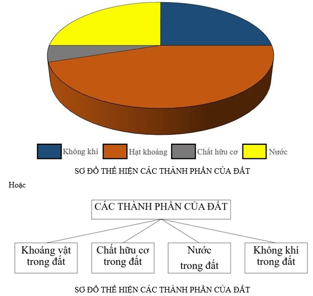 Câu hỏi 1 trang 176 Địa Lí lớp 6 Cánh diều