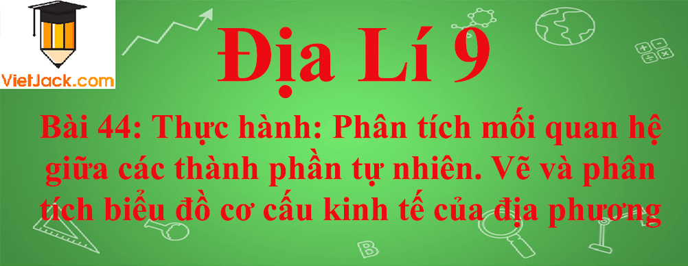 Địa lí lớp 9 Bài 44: Thực hành: Phân tích mối quan hệ giữa các thành phần tự nhiên. Vẽ và phân tích biểu đồ cơ cấu kinh tế của địa phương