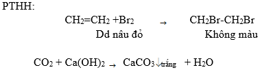 Giải bài tập Hóa học 11 | Để học tốt hóa học 11