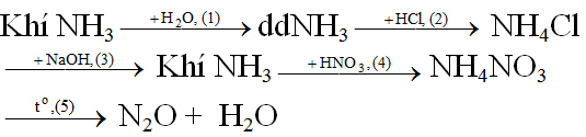 Giải bài tập Hóa học 11 | Để học tốt hóa học 11