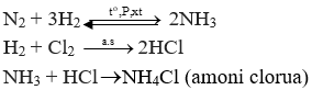 Giải bài tập Hóa học 11 | Để học tốt hóa học 11