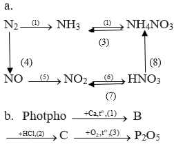 Giải bài tập Hóa học 11 | Để học tốt hóa học 11