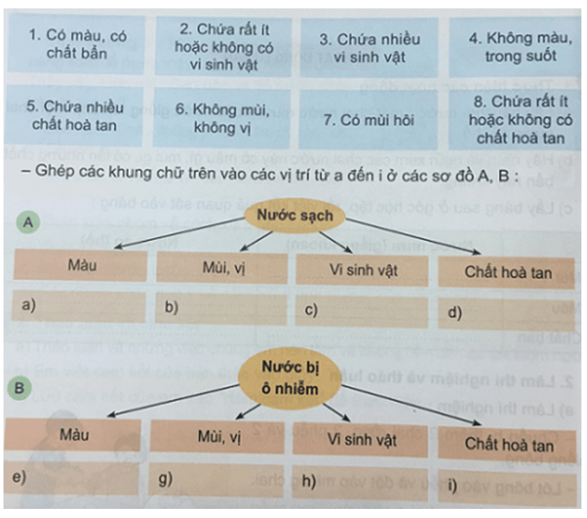 Bài 15: NGUỒN NƯỚC QUANH TA SẠCH HAY Ô NHIỄM?