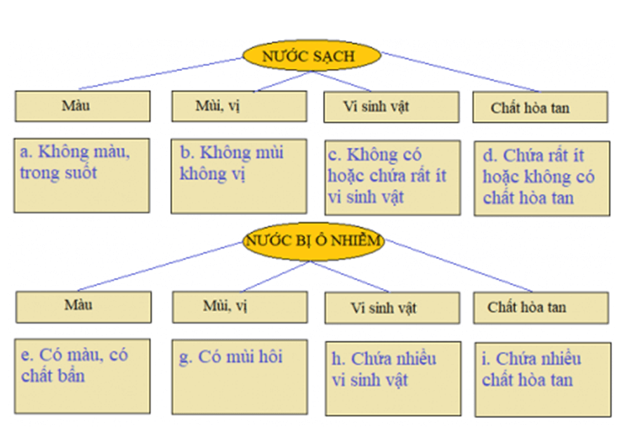 Bài 15: NGUỒN NƯỚC QUANH TA SẠCH HAY Ô NHIỄM?