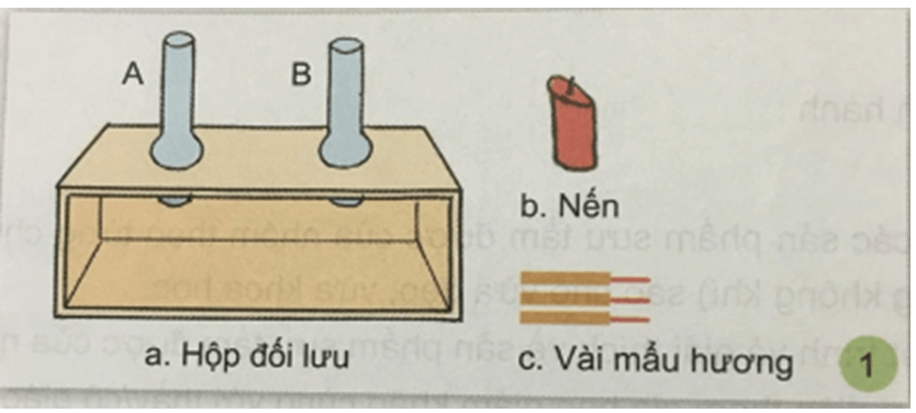 Bài 19: GIÓ, BÃO | Hay nhất Giải bài tập Khoa học 4 VNEN