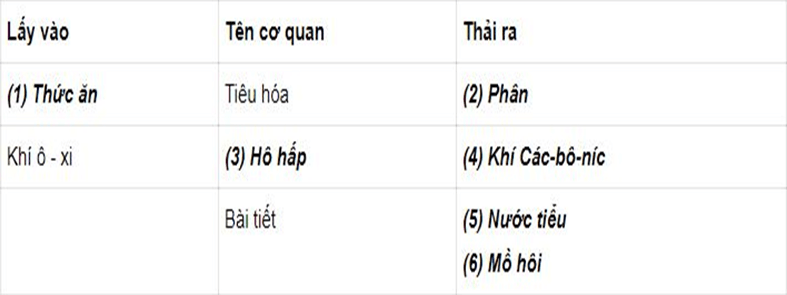 con-nguoi-trao-doi-chat-the-nhu-the-nao