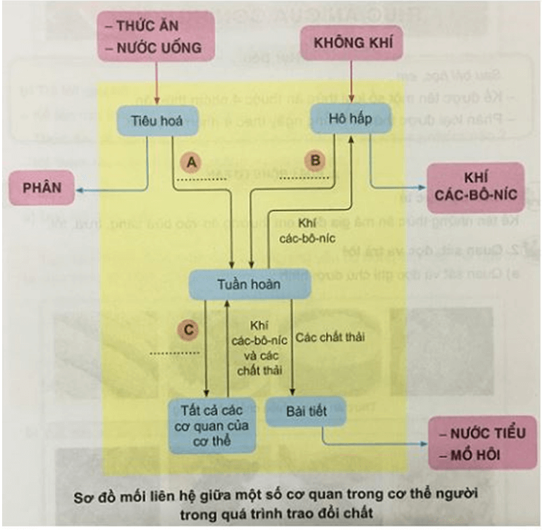 con-nguoi-trao-doi-chat-the-nhu-the-nao