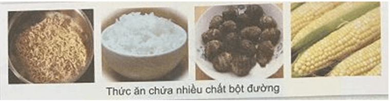 cac-chat-dinh-duong-co-trong-co-the-nguoi