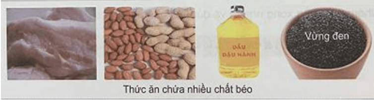 cac-chat-dinh-duong-co-trong-co-the-nguoi