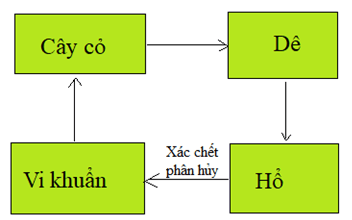 Bài 33: CHUỖI THỨC ĂN TRONG TỰ NHIÊN