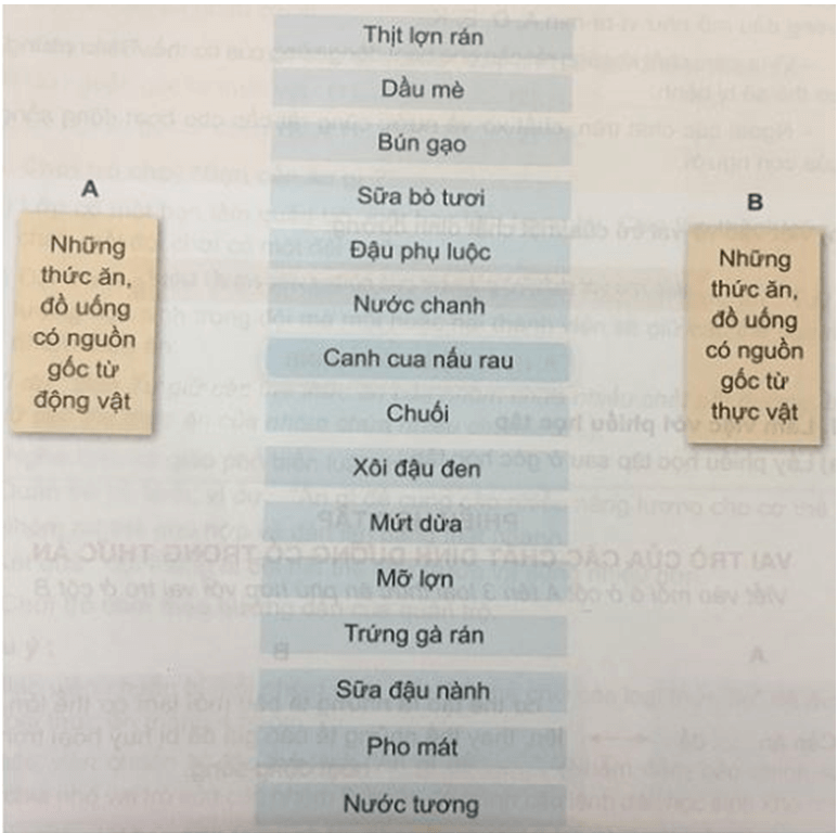 Bài 4: CÁC CHẤT DINH DƯỠNG CÓ VAI TRÒ GÌ?