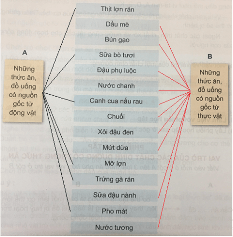 Bài 4: CÁC CHẤT DINH DƯỠNG CÓ VAI TRÒ GÌ?