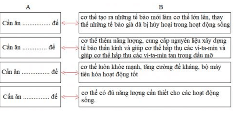 Bài 4: CÁC CHẤT DINH DƯỠNG CÓ VAI TRÒ GÌ?