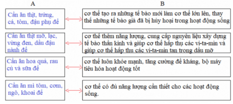 Bài 4: CÁC CHẤT DINH DƯỠNG CÓ VAI TRÒ GÌ?