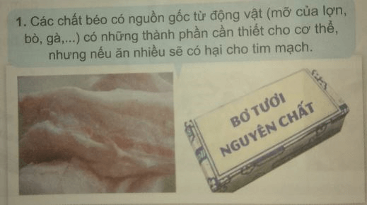 Bài 6: CẦN ĂN THỨC ĂN CHỨA ĐẠM, CHẤT BÉO NHƯ THẾ NÀO ĐỂ CƠ THỂ KHOẺ MẠNH?