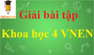 Khoa học lớp 4 sách mới (giải SGK, VBT hay nhất)