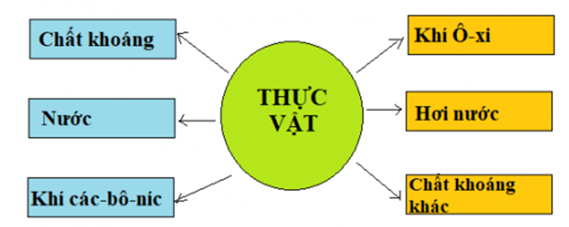 ÔN TẬP VÀ KIỂM TRA CUỐI NĂM