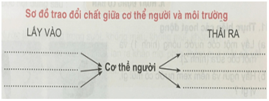 CHÚNG EM ĐÃ HỌC ĐƯỢC NHỮNG GÌ TỪ CHỦ ĐỀ CON NGƯỜI VÀ SỨC KHOẺ?