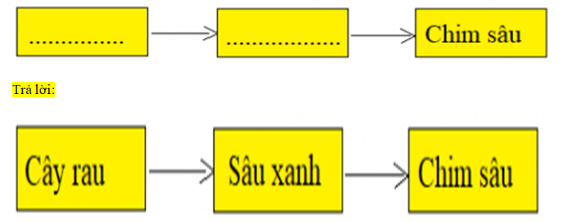 PHIẾU KIỂM TRA 3