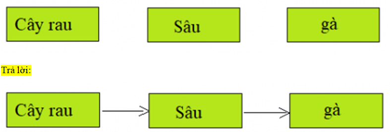 PHIẾU KIỂM TRA 3