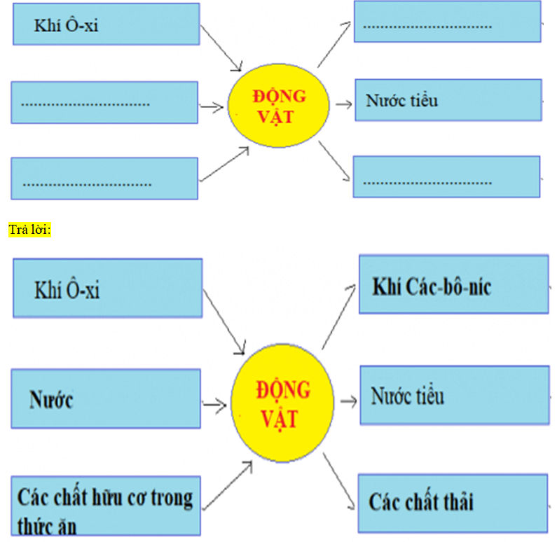 PHIẾU KIỂM TRA 3