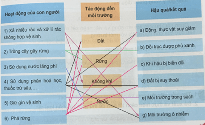 Khoa học 5 Bài 35: Con người tác động đến môi trường tự nhiên như thế nào? | Hay nhất Giải Khoa học lớp 5 VNEN